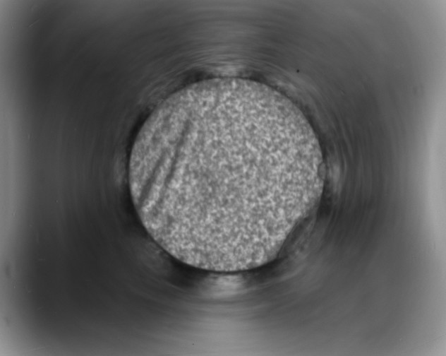 X0000088080665200706081731