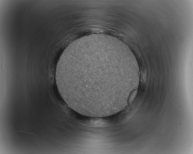 X0000088080666200706081731