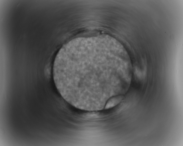 X0000088080668200706081731