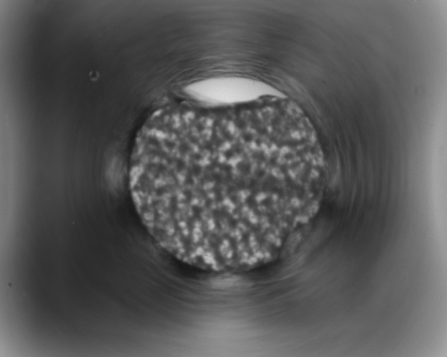 X0000088080669200706081731