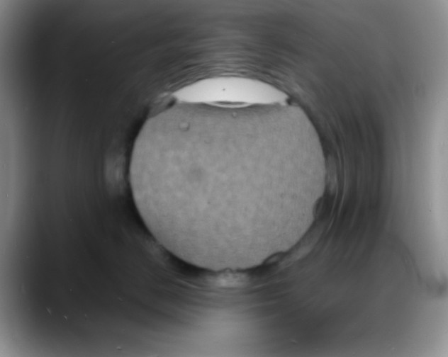 X0000088080670200706081731