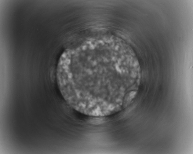 X0000088080671200706081731