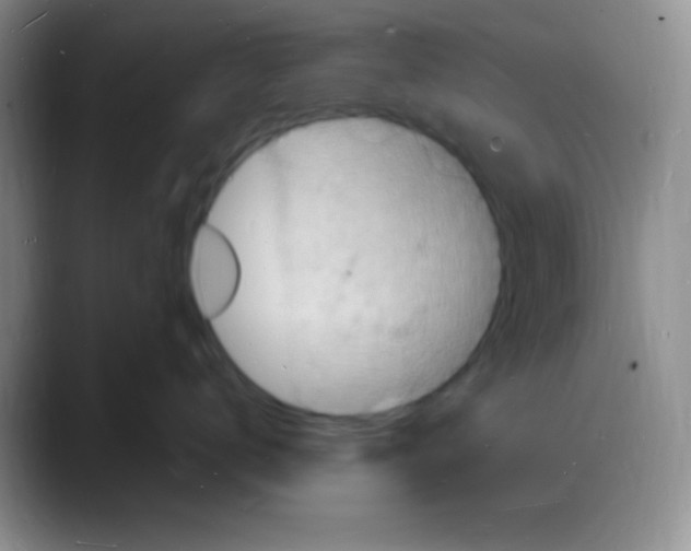 X0000088080672200706081731