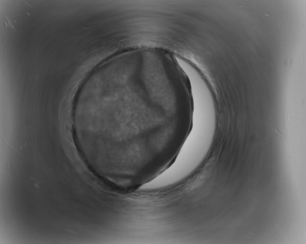 X0000088080673200706081730