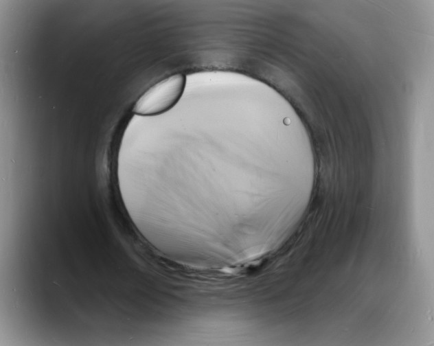 X0000088080674200706081730