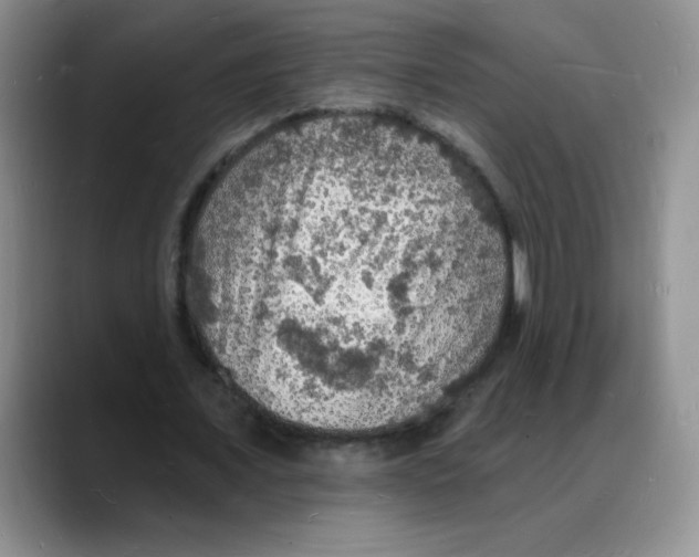 X0000088080675200706081730