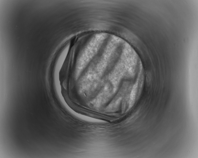 X0000088080676200706081730
