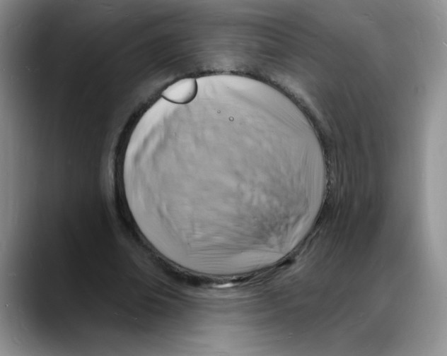 X0000088080678200706081730