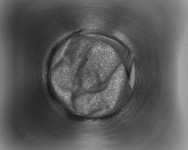 X0000088080680200706081730