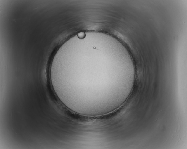 X0000088080682200706081730