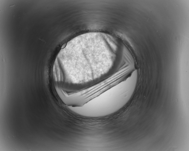 X0000088080684200706081730