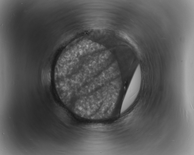 X0000088080685200706081730