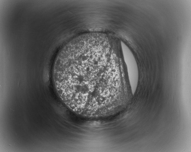 X0000088080687200706081730