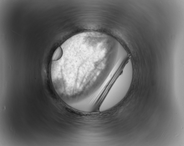 X0000088080688200706081730