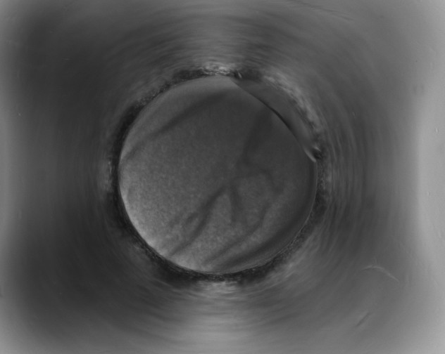 X0000088080689200706081730