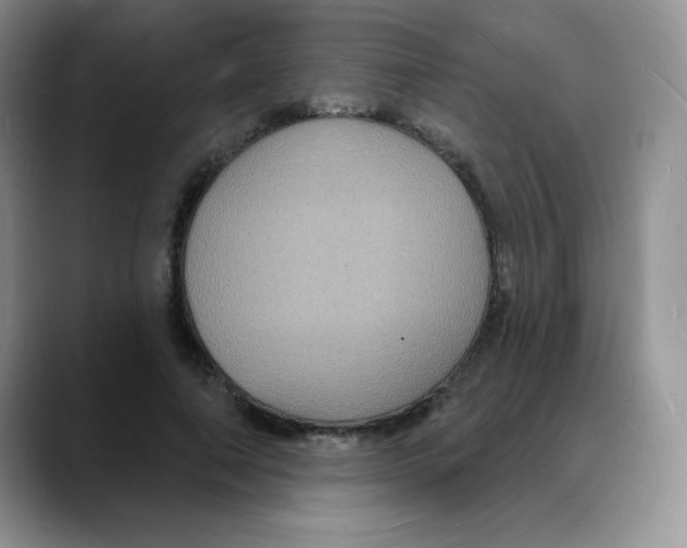 X0000088080690200706081730