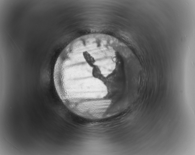 X0000088080691200706081730