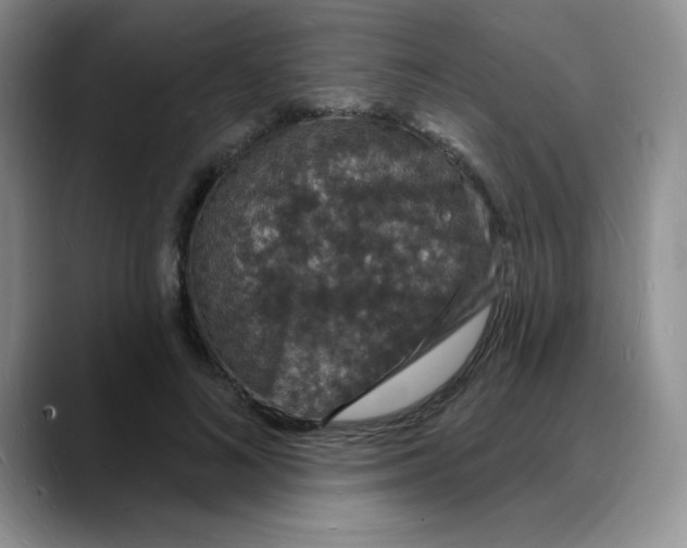 X0000088080692200706081730