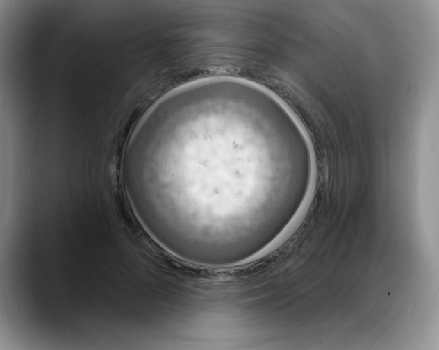 X0000088080696200706081730