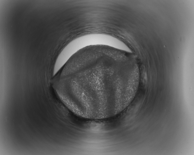 X0000088080697200706081730