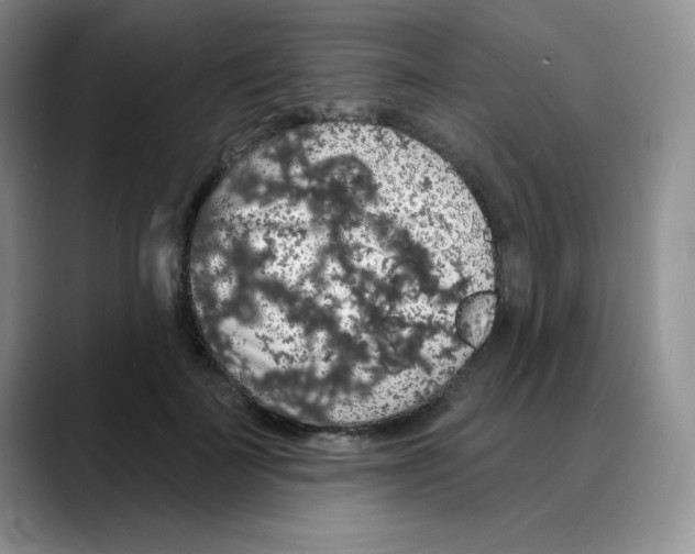 X0000088080699200706081730