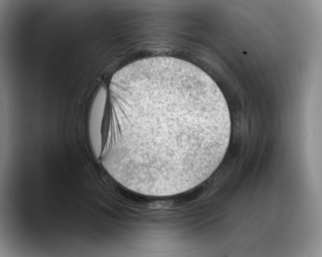 X0000088080700200706081730