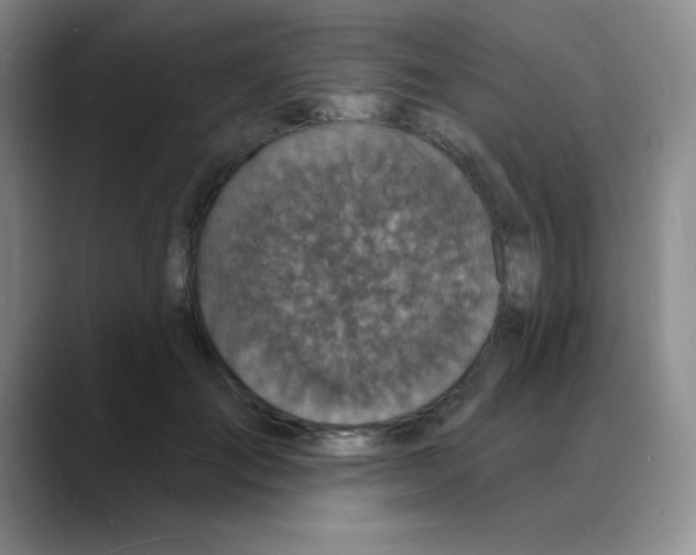 X0000088080701200706081730