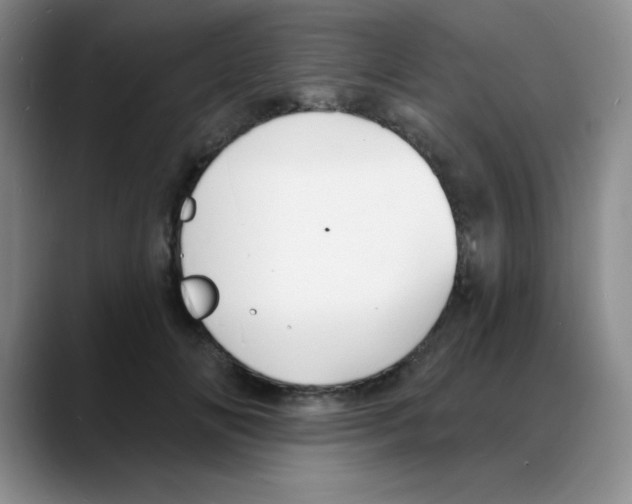 X0000088080702200706081730