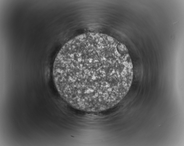 X0000088080703200706081730