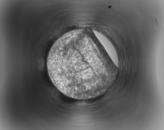 X0000088080704200706081730