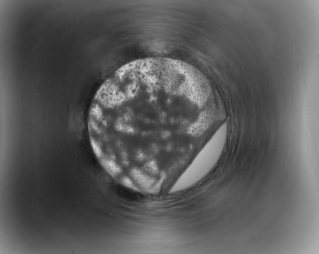 X0000088080707200706081730