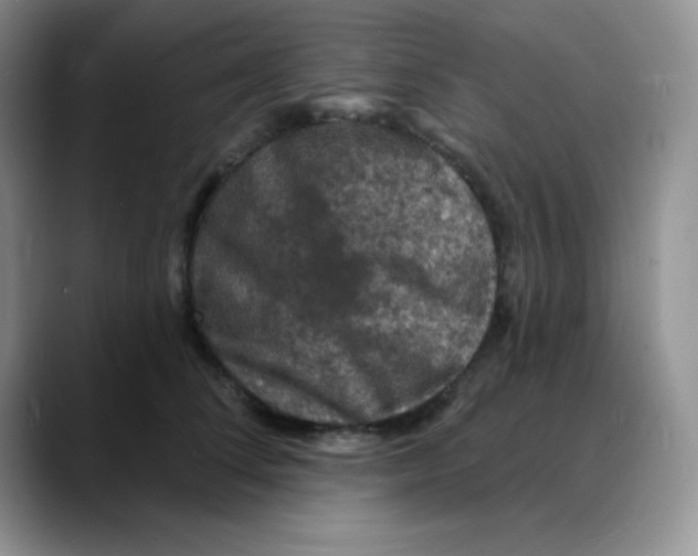 X0000088080708200706081730