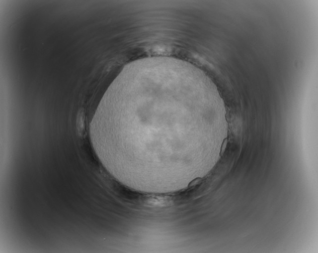X0000088080709200706081730