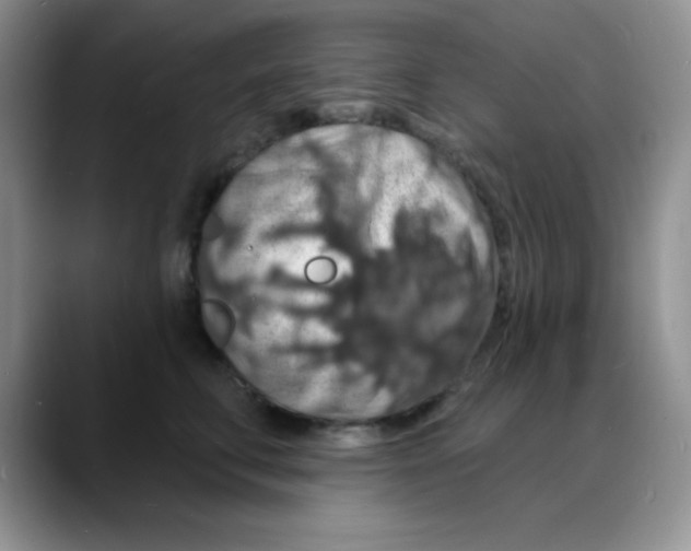 X0000088080711200706081730