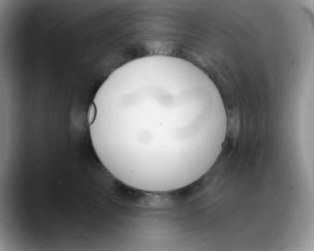 X0000088080713200706081729