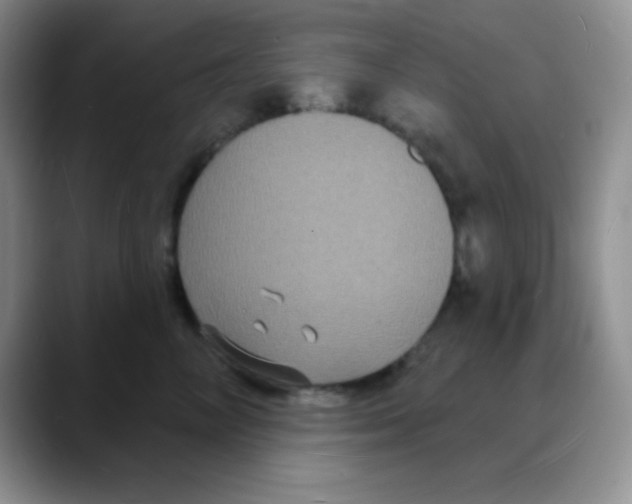X0000088080714200706081729