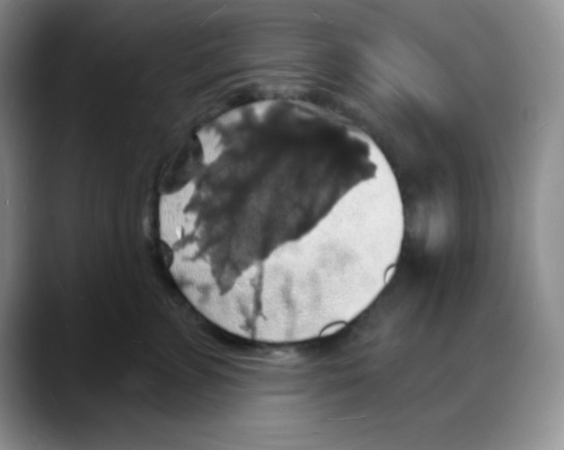 X0000088080715200706081729