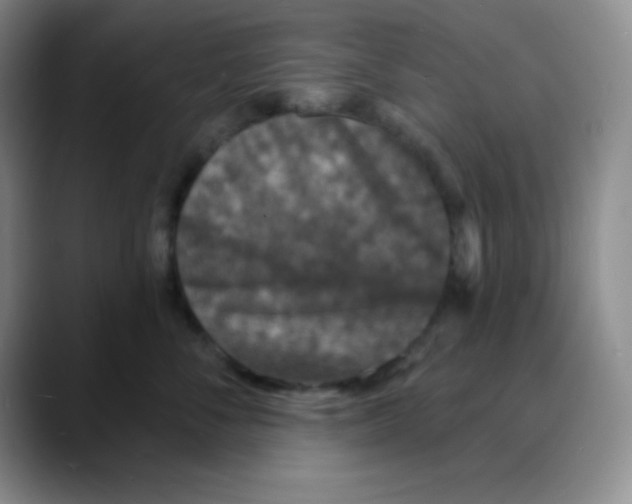 X0000088080716200706081729
