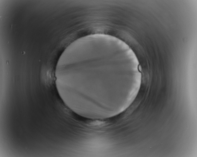X0000088080718200706081729