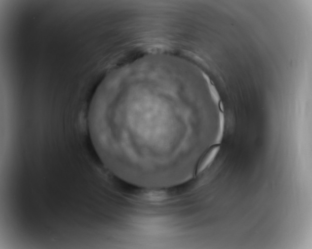 X0000088080719200706081729