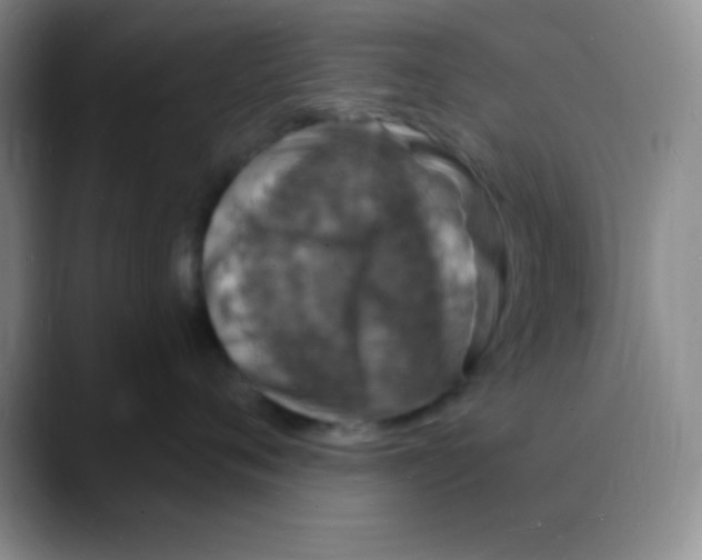 X0000088080720200706081729