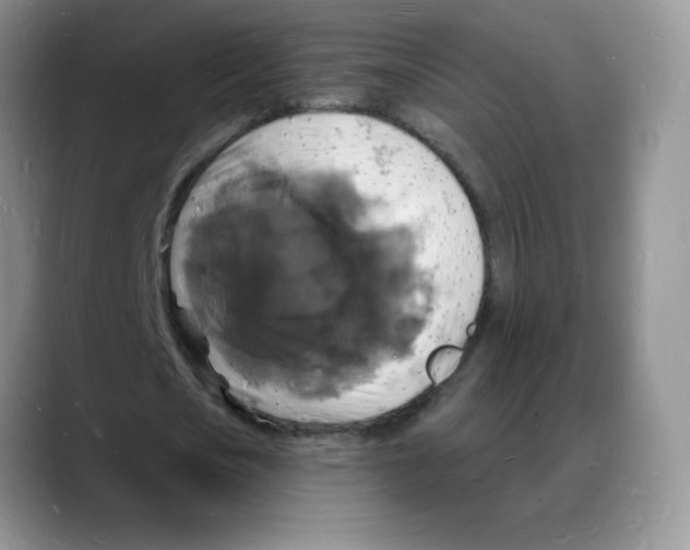 X0000088080721200706081729