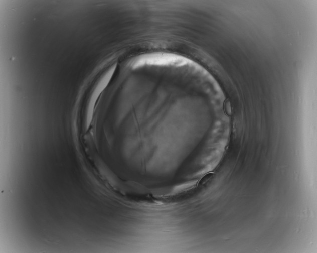 X0000088080722200706081729