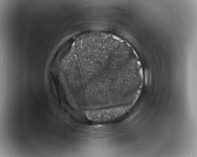 X0000088080723200706081729