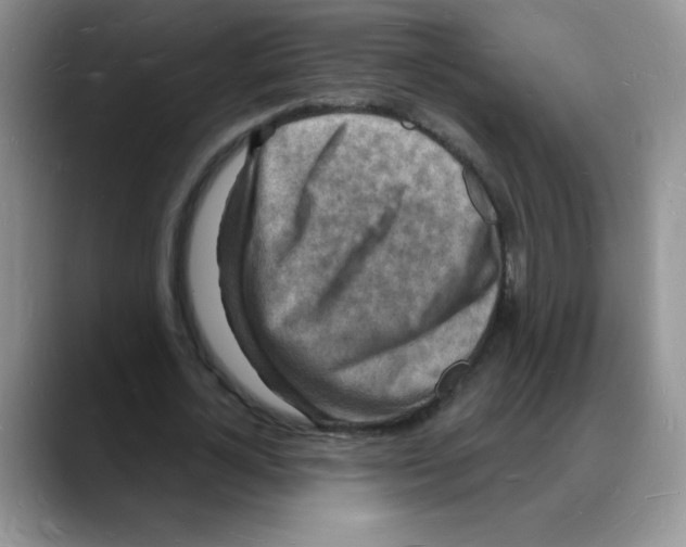 X0000088080724200706081729