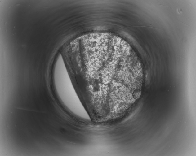 X0000088080725200706081729