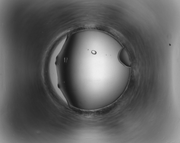 X0000088080728200706081729
