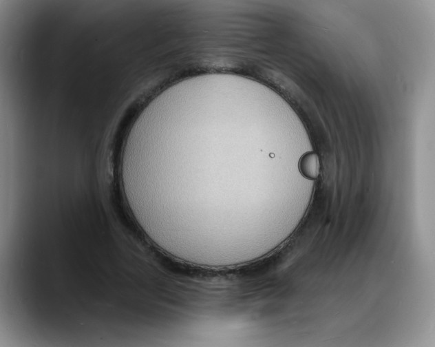 X0000088080731200706081729