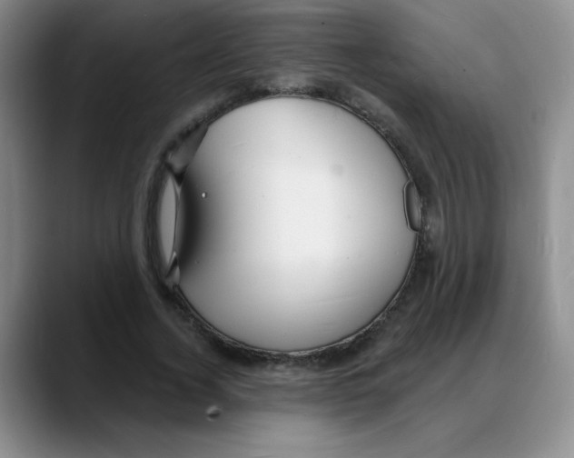 X0000088080732200706081729