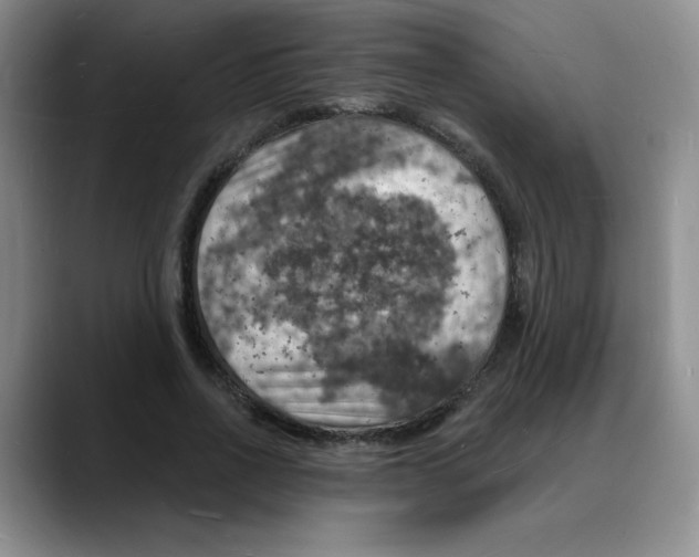 X0000088080734200706081729